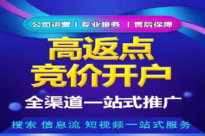 竞价广告的技巧与策略：网络推广的经典案例分享